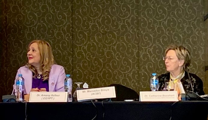 Report Cairo Conference 2022