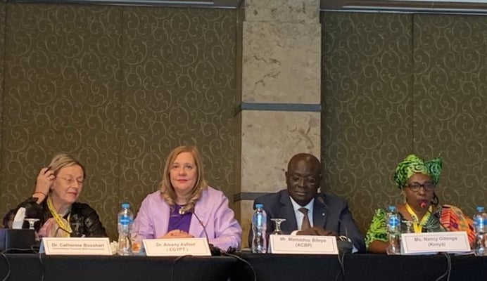 Report Cairo Conference 2022