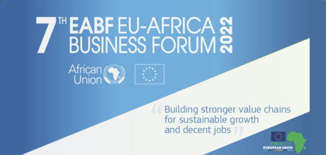 7th EU-Africa Business Forum 2022 – High Level Panel