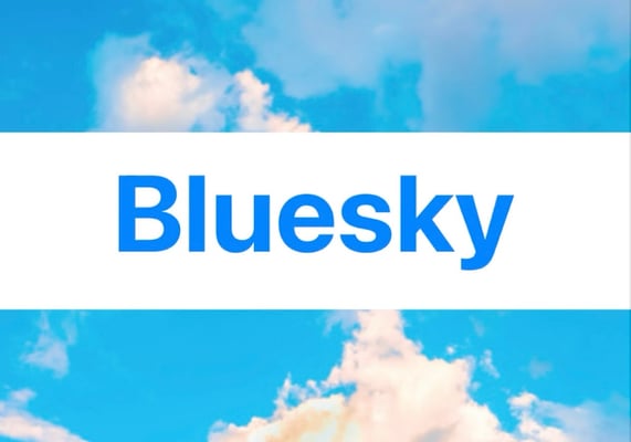 BPW International & Social Media – New with account on bsky.social – X (Twitter) account dormant