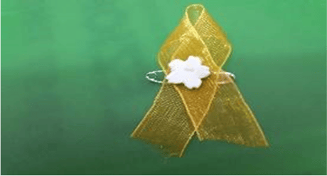 Task Force Child Marriage Prevention – Action Plan – Dr. Giuseppa Seidita