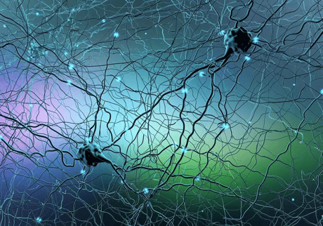 UNESCO Invitation: Global consultation on the Ethics of Neurotechnology