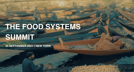 UN Food Systems Summit 2021