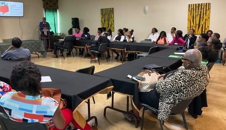 New Project – Job Readiness Workshop – BPW St. Kitts