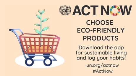 Act Now – The UN Campaign for Individual Action