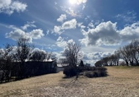 BPW Reykjavík – Celebration of  the Earth Day on April 22