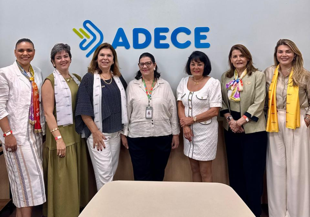 Seven delegation members standing in front of a large blue ADECE logo on a meeting room wall.